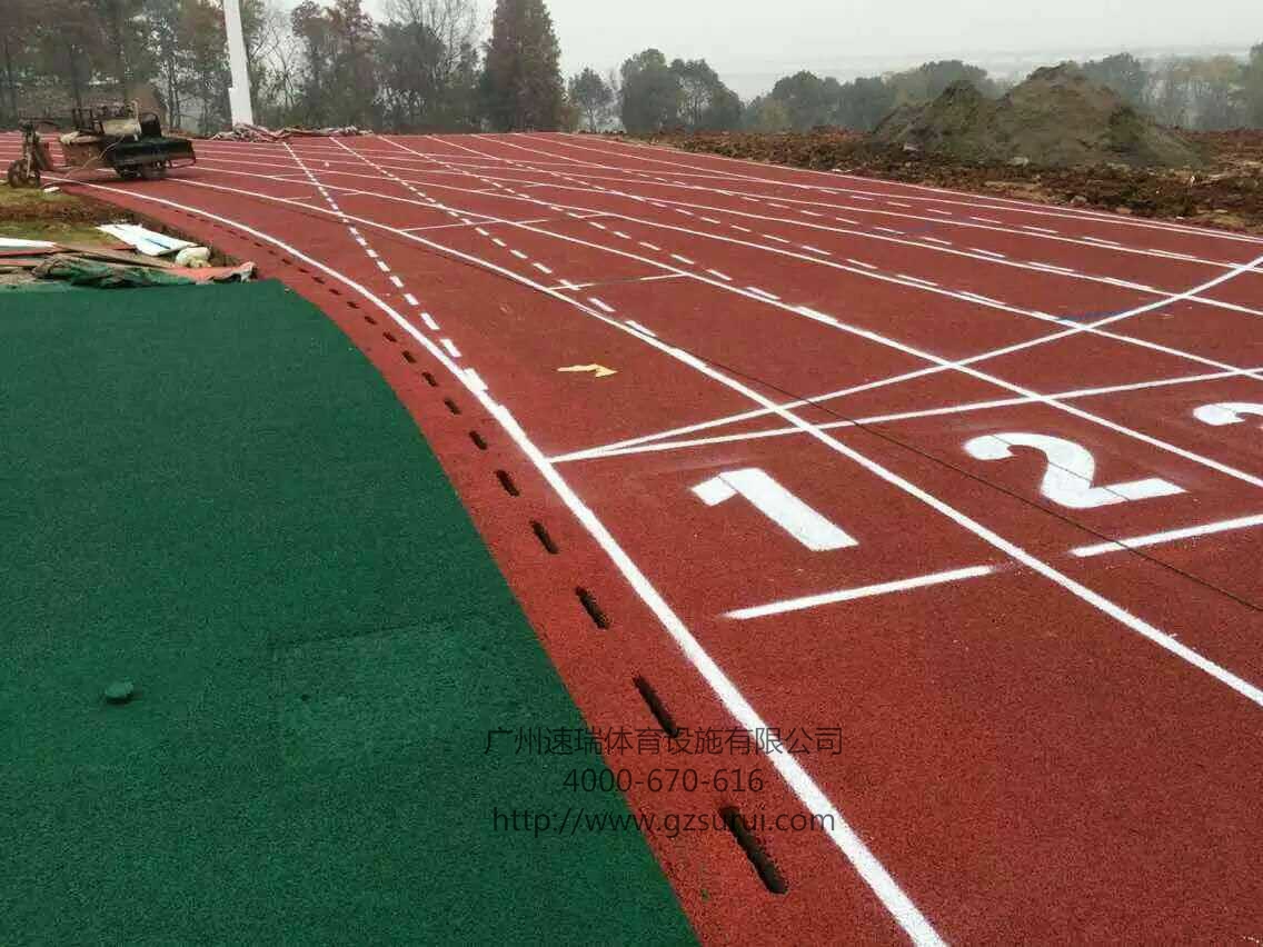全塑型塑膠跑道1_看圖王.jpg